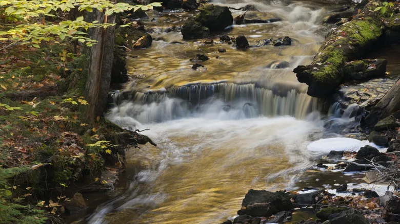 Descubre Pictured Rocks National Lakeshore: El Sendero Chapel Loop, Una Aventura Inolvidable en Michigan