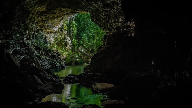 Descubre Thousand Foot Falls: La Majestuosa Cascada de Belice y la Aventura en la Reserva Mountain Pine Ridge