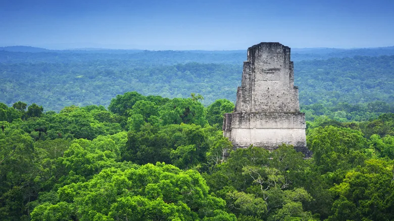 Descubre Tikal: Un Viaje al Corazón de la Civilización Maya en Guatemala