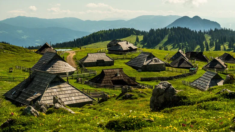 Destinos Europeos que Evocan la Esencia de Japón: Belleza, Cultura y Tranquilidad
