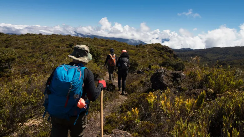 El Camino de Costa Rica: La Aventura Definitiva de Senderismo de Mar a Mar en Centroamérica