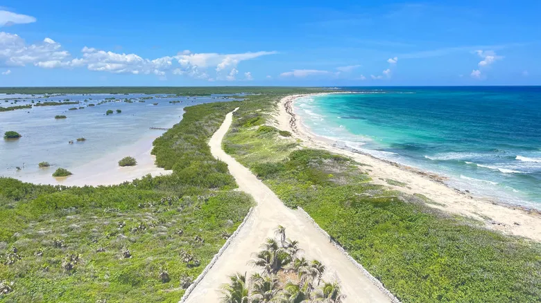 El Cielo Cozumel: Un Santuario Submarino de Estrellas de Mar y Aventura en el Caribe Mexicano