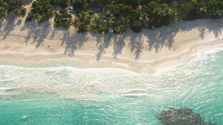 Escapadas Navideñas Cálidas: Destinos Tropicales Alternativos a Hawái para una Temporada Inolvidable
