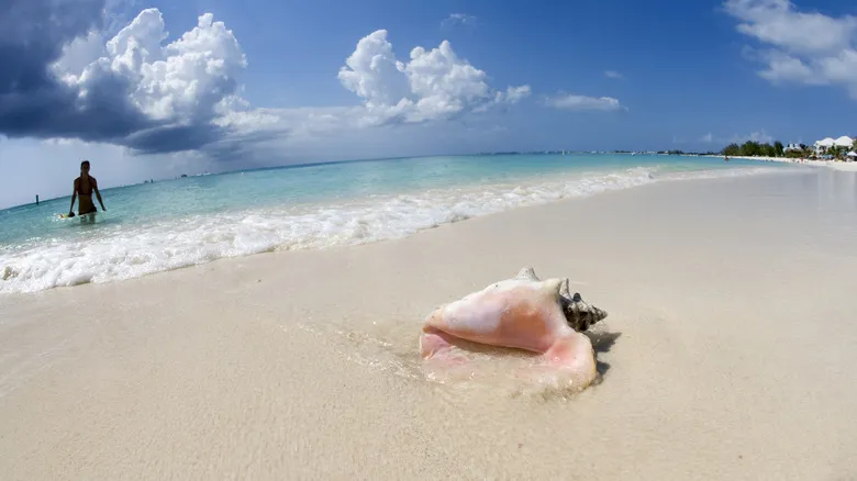 Escapadas Tropicales Asequibles: Destinos Paradisíacos desde el Medio Oeste Americano
