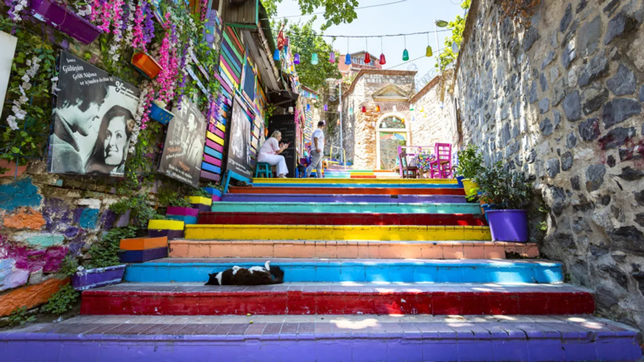 Estambul: La Ciudad Donde los Gatos Son Reyes y la Cultura Felina Florece