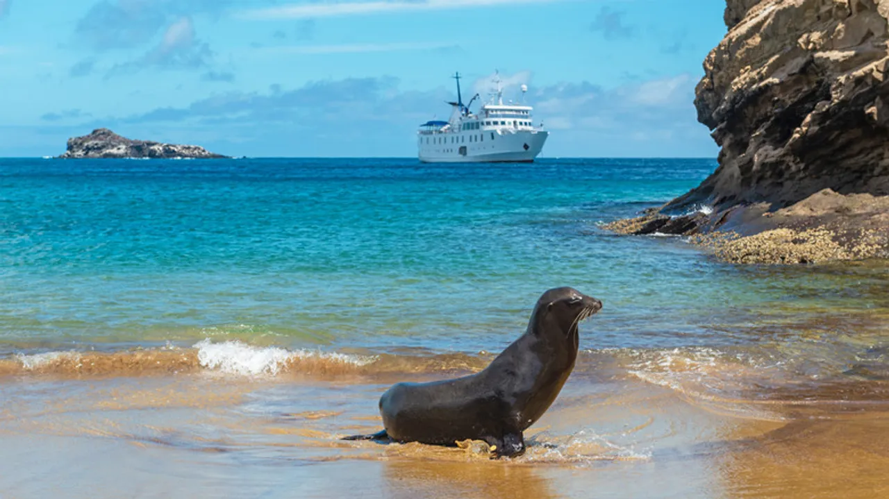Explora las Galápagos: Cruceros Inolvidables para Descubrir su Biodiversidad Única