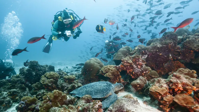 Explora las Galápagos: Cruceros Inolvidables para Descubrir su Biodiversidad Única