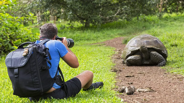 Explora las Galápagos: Cruceros Inolvidables para Descubrir su Biodiversidad Única