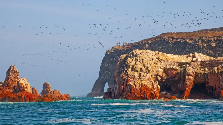 Explora las Joyas Ocultas de Sudamérica: Un Viaje por sus Islas Más Impresionantes