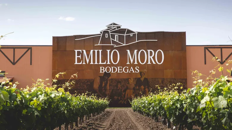Explora Ribera del Duero: La Joya Oculta del Vino Tinto Español