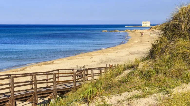 Fasano, Puglia: Descubra el Encanto Eterno entre el Adriático y Olivos Milenarios