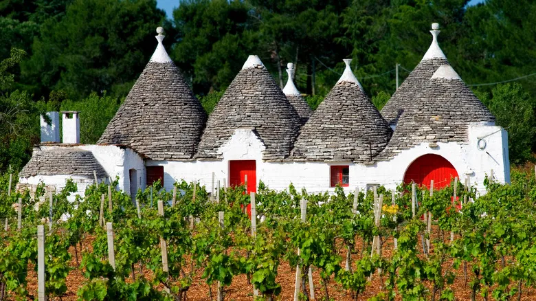 Fasano, Puglia: Descubra el Encanto Eterno entre el Adriático y Olivos Milenarios
