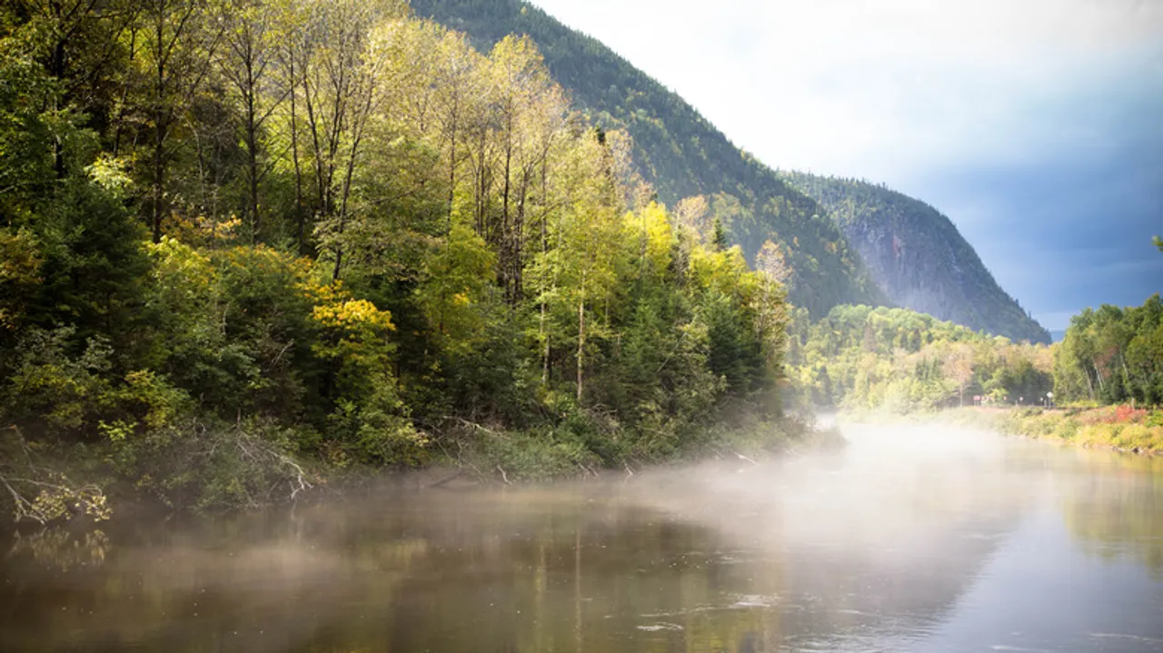 Fiordo Saguenay, Canadá: Una Joya Natural Navegable para Explorar