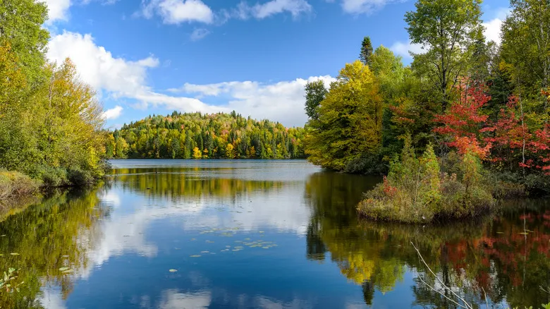 Fiordo Saguenay, Canadá: Una Joya Natural Navegable para Explorar