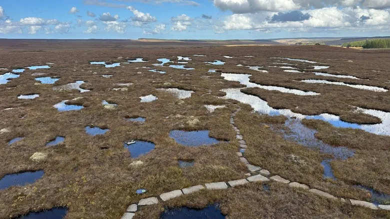 Flow Country, Escocia: La Majestuosa Turbera Patrimonio Mundial y su Importancia Climática