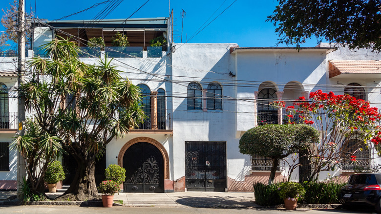 Guía Completa para Explorar La Condesa: El Encanto Art Deco de Ciudad de México