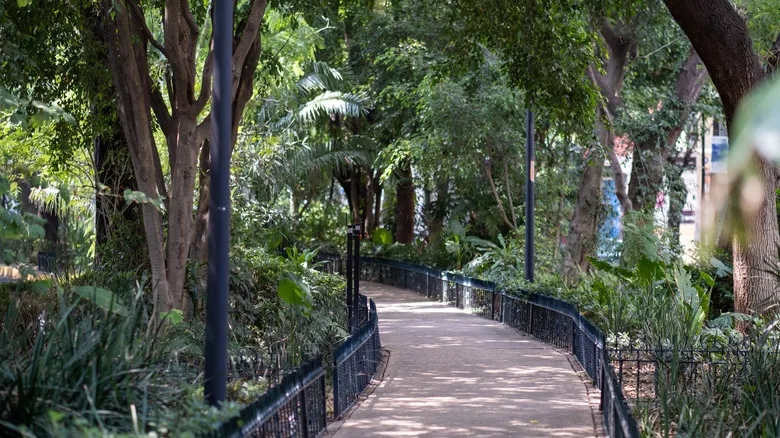 Guía Completa para Explorar La Condesa: El Encanto Art Deco de Ciudad de México