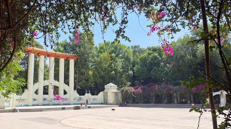 Guía Completa para Explorar La Condesa: El Encanto Art Deco de Ciudad de México