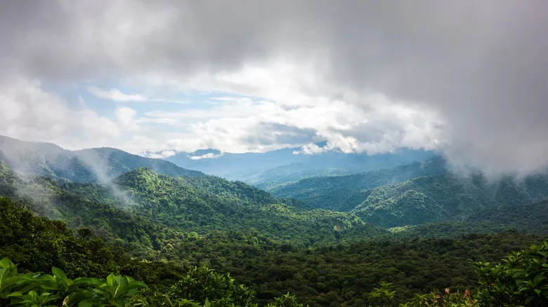 Hotel Belmar: Un Refugio de Lujo y Sostenibilidad en el Corazón del Bosque Nuboso de Monteverde, Costa Rica