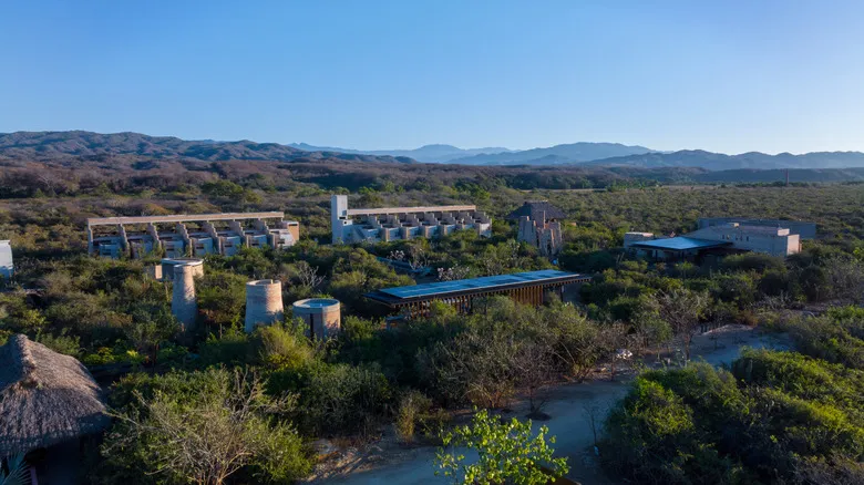 Hotel Terrestre Oaxaca: Un Santuario de Lujo Sostenible y Conexión Natural en la Costa Pacífica
