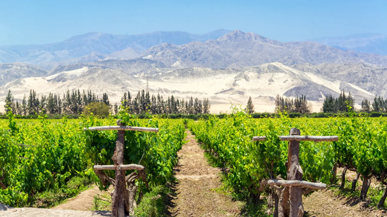 Ica, Perú: Un Destino Imperdible de Vino Histórico, Aventura en el Desierto y Maravillas Ancestrales