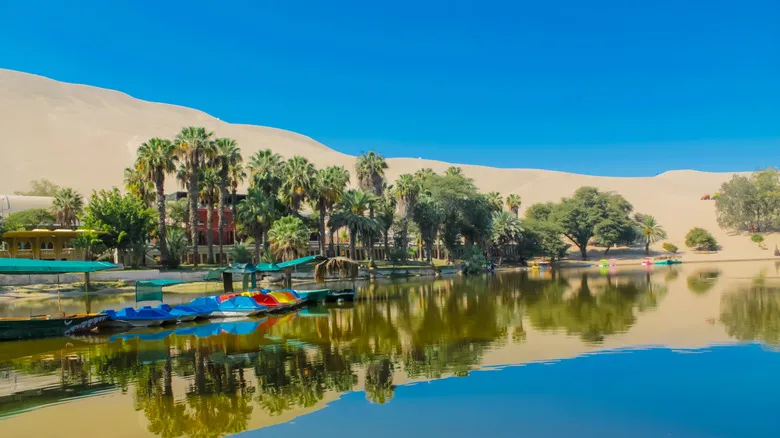 Ica, Perú: Un Destino Imperdible de Vino Histórico, Aventura en el Desierto y Maravillas Ancestrales