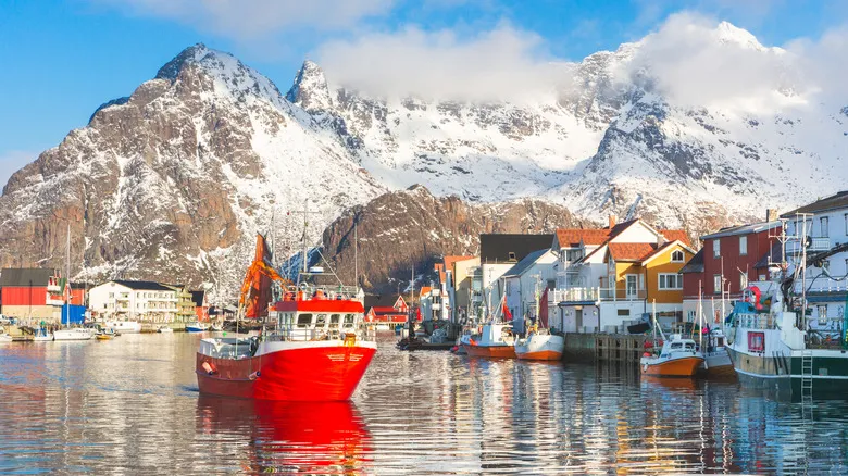Inmersión en Aguas Heladas: Destinos y Consejos de Seguridad para tu Próximo Chapuzón Polar