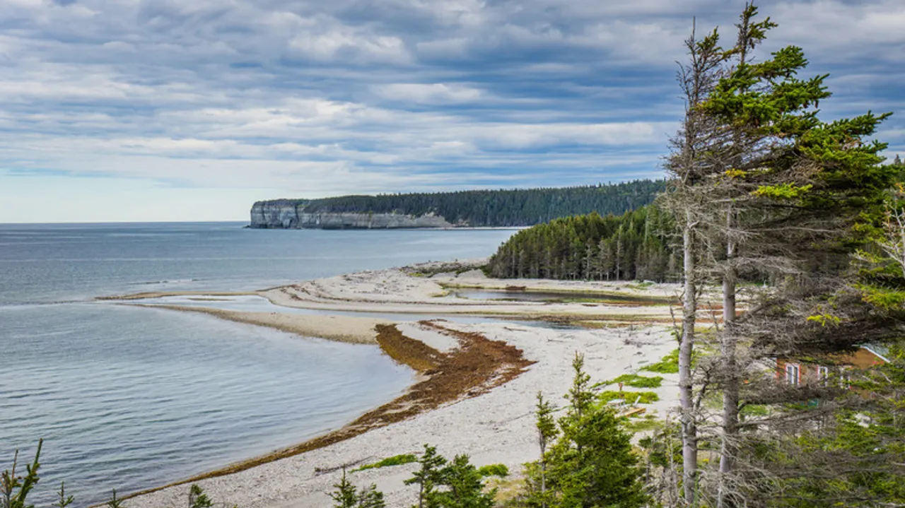 Isla Anticosti: Explorando el Santuario Silvestre y Geológico de Canadá