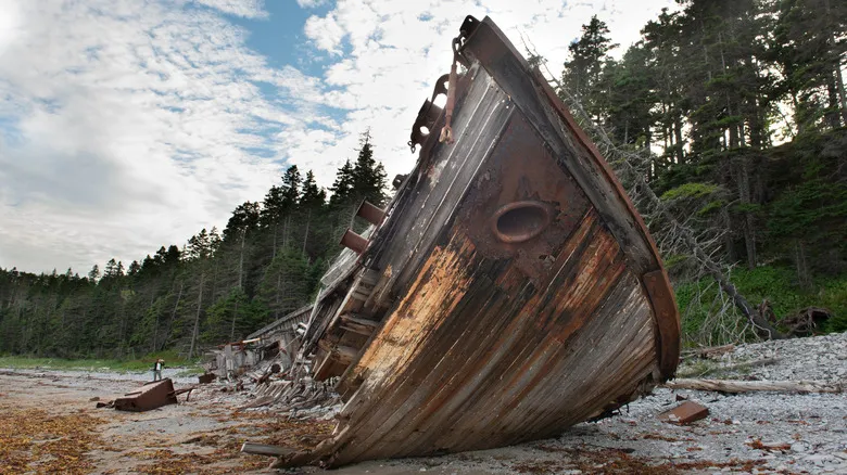 Isla Anticosti: Explorando el Santuario Silvestre y Geológico de Canadá