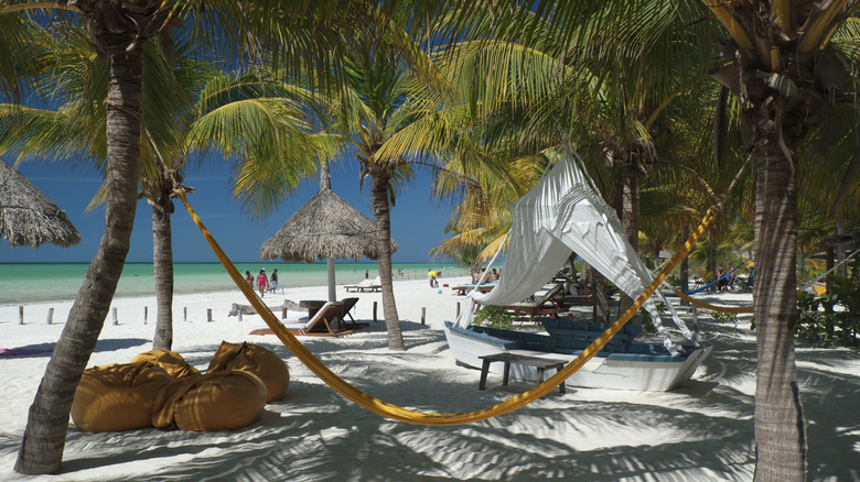 Isla Holbox: Tu Paraíso Escondido en la Península de Yucatán | Alternativa a Cancún