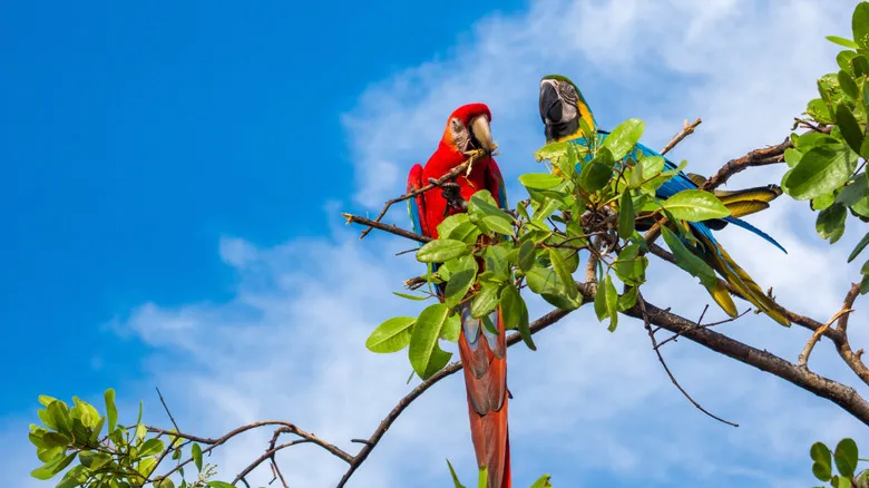 Isla Múcura: El Paraíso Escondido y Sereno del Caribe Colombiano – Guía Completa