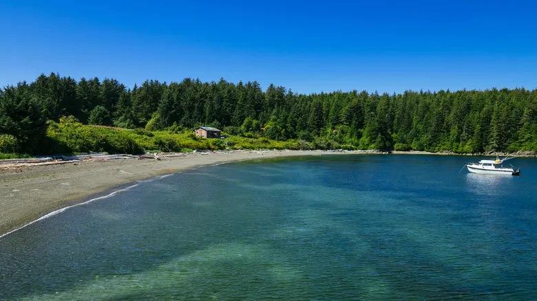 Isla Nootka: Descubre el Tesoro Escondido y Salvaje de Columbia Británica