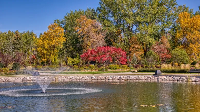 Jardín Internacional de la Paz: Un Símbolo Evergreen de Amistad Transfronteriza entre EE. UU. y Canadá