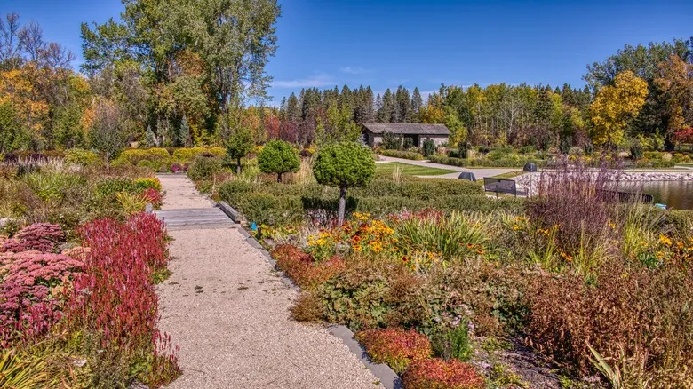 Jardín Internacional de la Paz: Un Símbolo Evergreen de Amistad Transfronteriza entre EE. UU. y Canadá