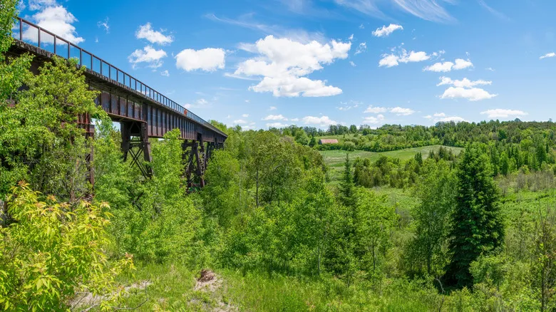 Kawartha Lakes, Ontario: Guía Completa de Naturaleza, Aventura y Tranquilidad