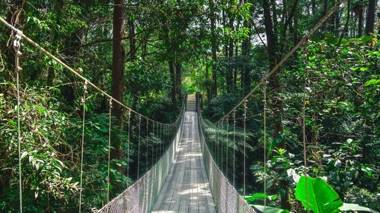La Fortuna, Costa Rica: Guía Completa de Aguas Termales, Volcanes y Aventura Natural