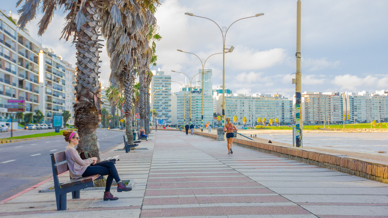 La Rambla de Montevideo: Un Paseo Emblemático por las Joyas Costeras de Uruguay