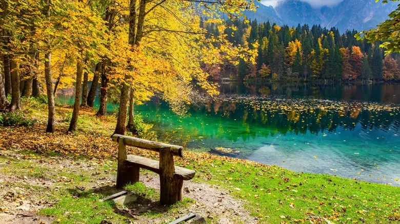 Laghi di Fusine: El Secreto Escondido de los Alpes Italianos - Una Guía Completa