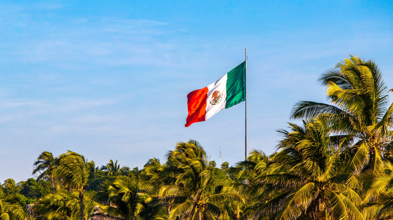 Las Mejores Playas de México: Guía Definitiva para Viajeros Aventureros y Tranquilos