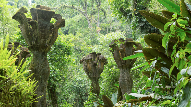 Las Pozas: El Jardín Escultórico Surrealista Escondido en la Jungla Mexicana