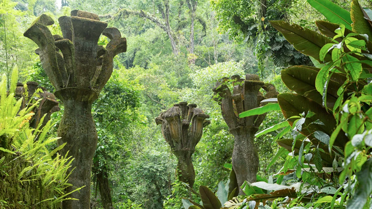 Las Pozas: El Jardín Escultórico Surrealista Escondido en la Jungla Mexicana