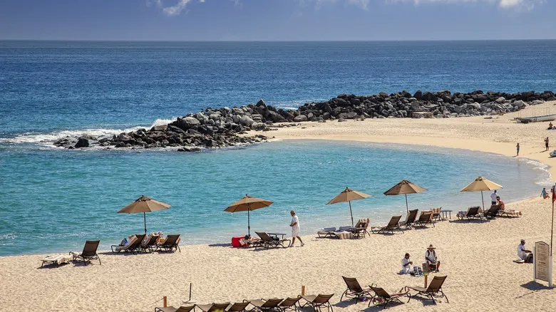 Los Cabos: Guía Definitiva de Actividades Imperdibles para unas Vacaciones Inolvidables