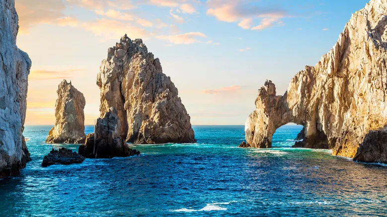 Los Cabos: Guía Definitiva de Actividades Imperdibles para unas Vacaciones Inolvidables