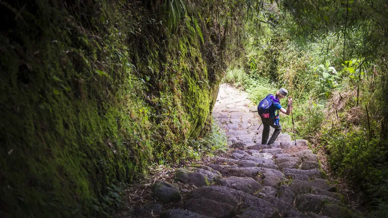 Machu Picchu: La Guía Esencial para un Viaje Inolvidable a la Ciudadela Inca