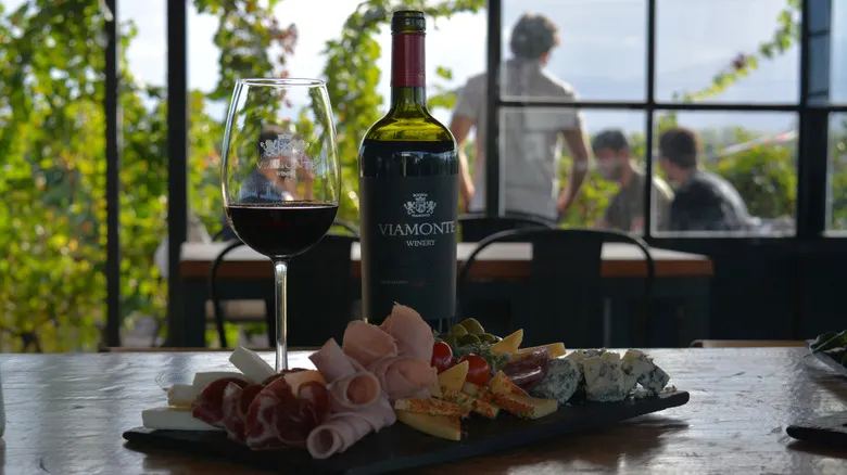 Mendoza y Viamonte Winery: Una Experiencia Enológica de Lujo en el Corazón de Argentina