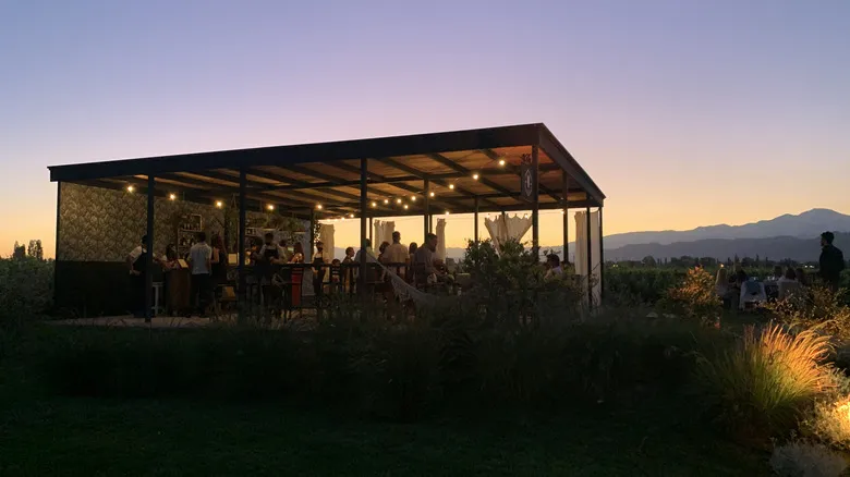 Mendoza y Viamonte Winery: Una Experiencia Enológica de Lujo en el Corazón de Argentina