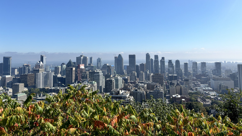 Monte Royal Montreal: Un Oasis Natural Inolvidable en el Corazón Urbano