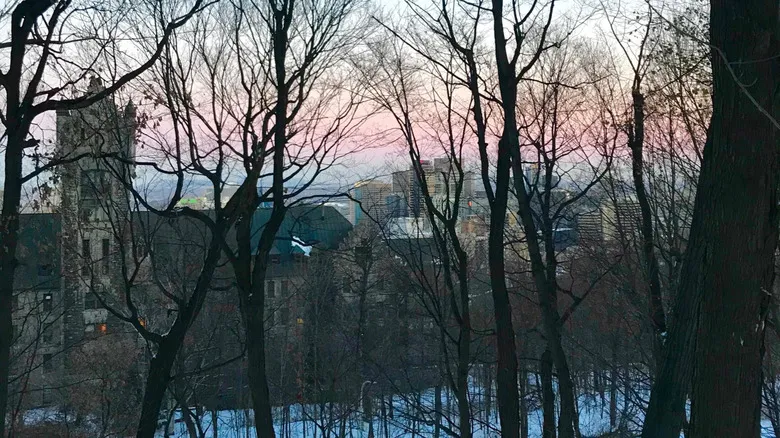 Monte Royal Montreal: Un Oasis Natural Inolvidable en el Corazón Urbano