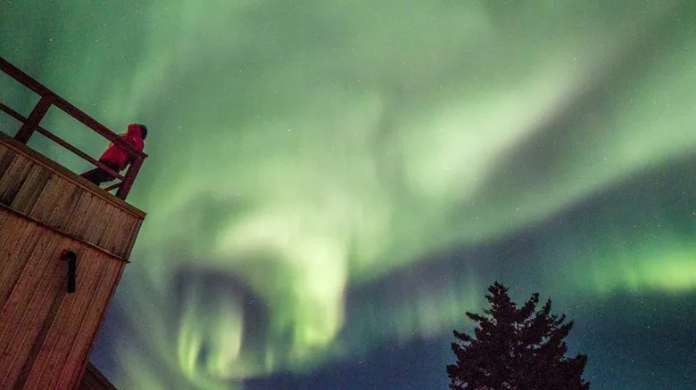 Nanuk Polar Bear Lodge: Safaris Árticos de Lujo en la Bahía de Hudson