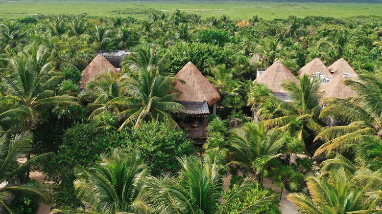 Nomade Tulum: Un Santuario Bohémico Para Celebraciones Inolvidables en el Caribe Mexicano